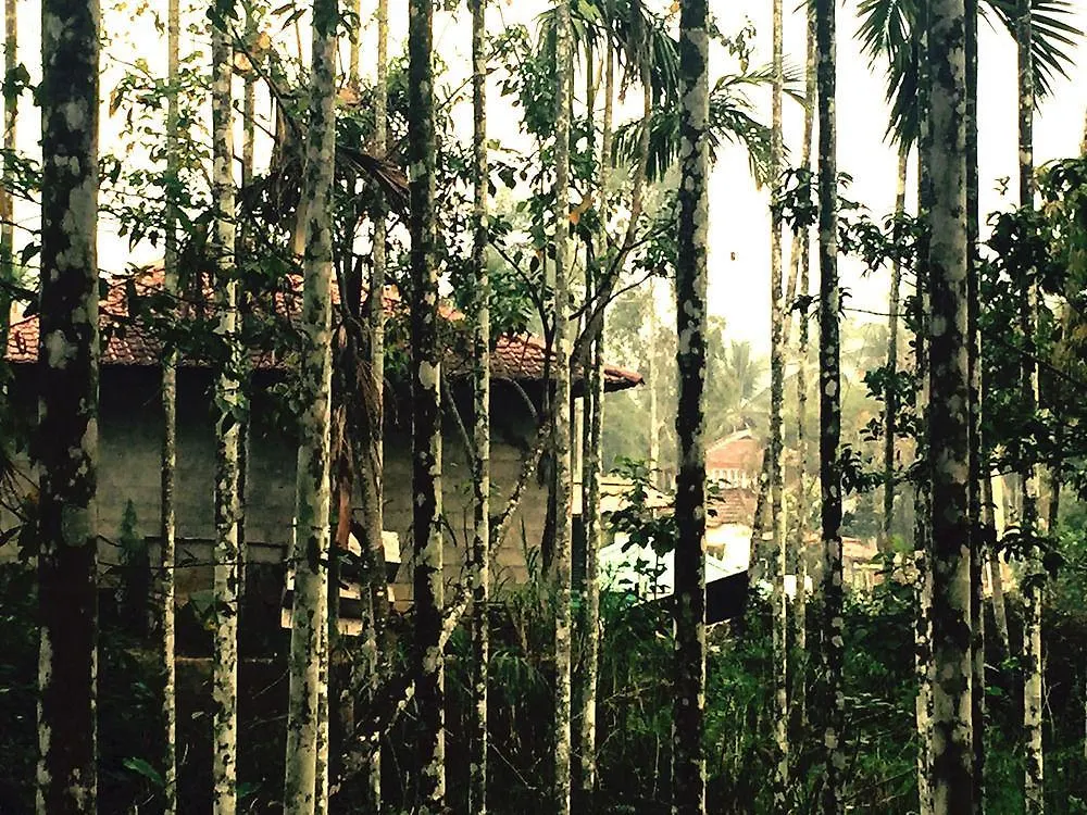 Vedanta Wake Up Wayanad Edakkal Caves